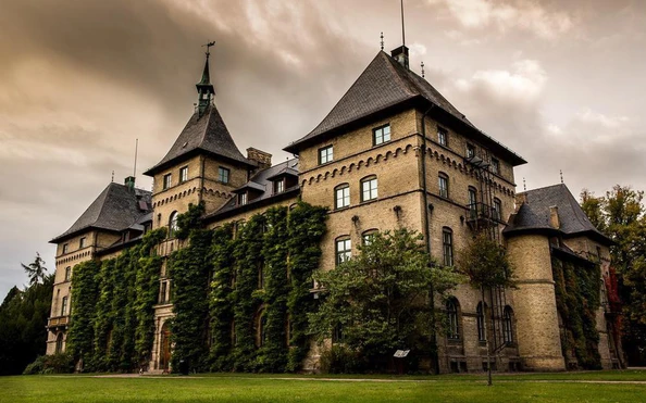 Trường Đại học Bách khoa Paris